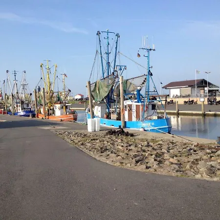 De Storken Diek * Dorumer Neufeld