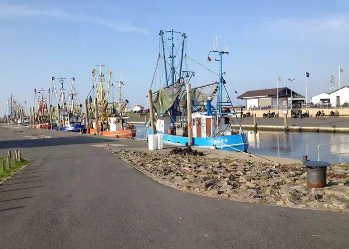 De Storken Diek * Dorum-Neufeld