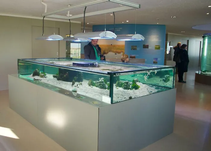 Сasa de vacaciones De Storken Diek Dorum-Neufeld